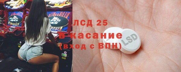 сатива Алзамай