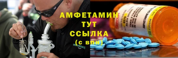 сатива Алзамай