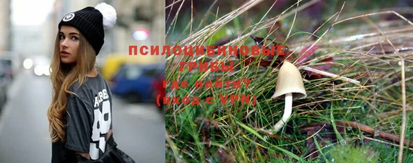 крисы Алексеевка
