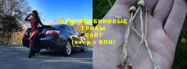 сатива Алзамай